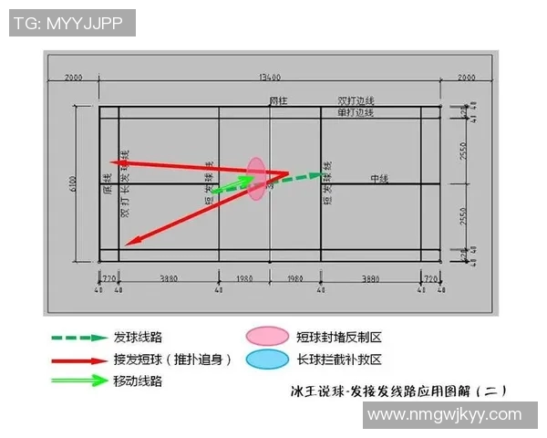 羽毛球女双顶尖组合战术分析与发展趋势