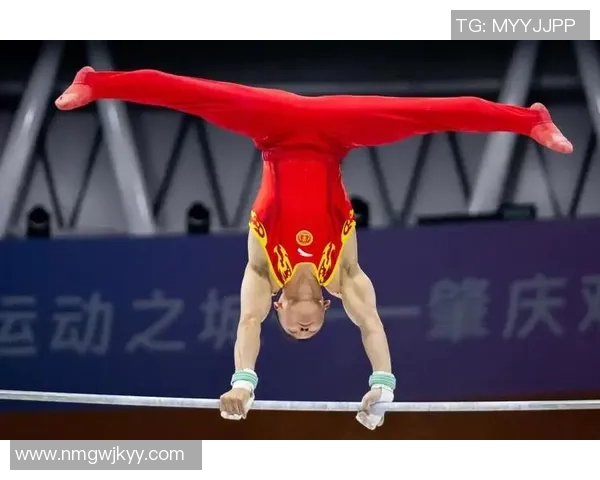 奥运会体操比赛难度动作解析与训练方法探讨及提升技巧研究